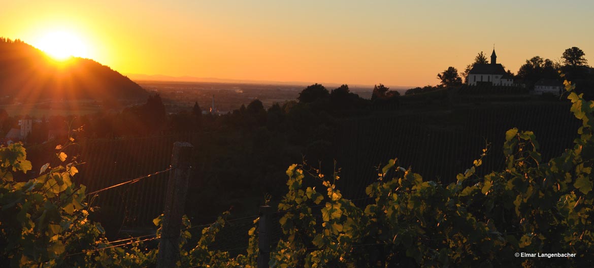 Aufnahme Schwarzwald bei Sonnenaufgang
